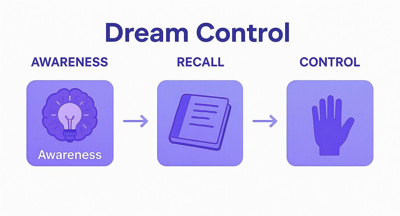 Flowchart illustrating dream control steps: awareness with a brain icon, recall with a book, and control with a hand.