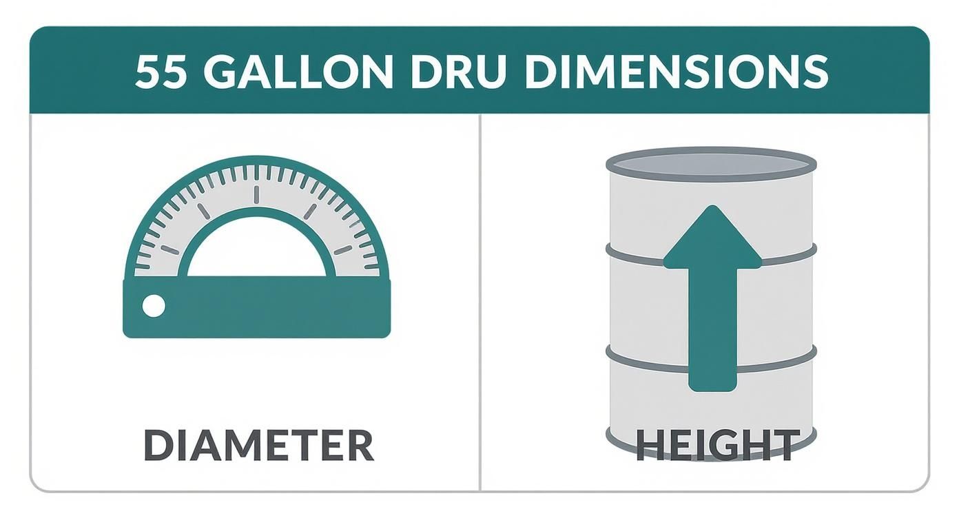 Infographic about diameter 55 gallon drum