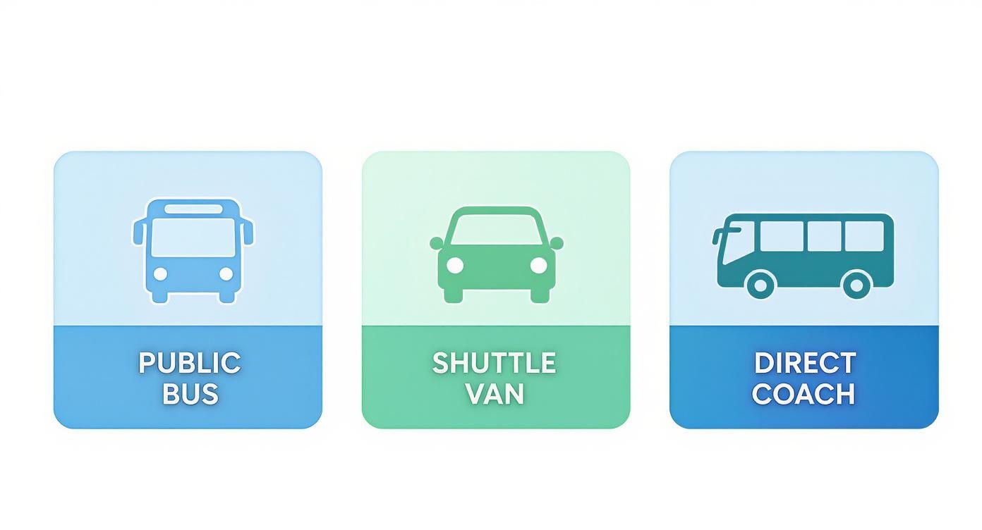 Three icons representing different transportation options: public bus, shuttle van, and direct coach.