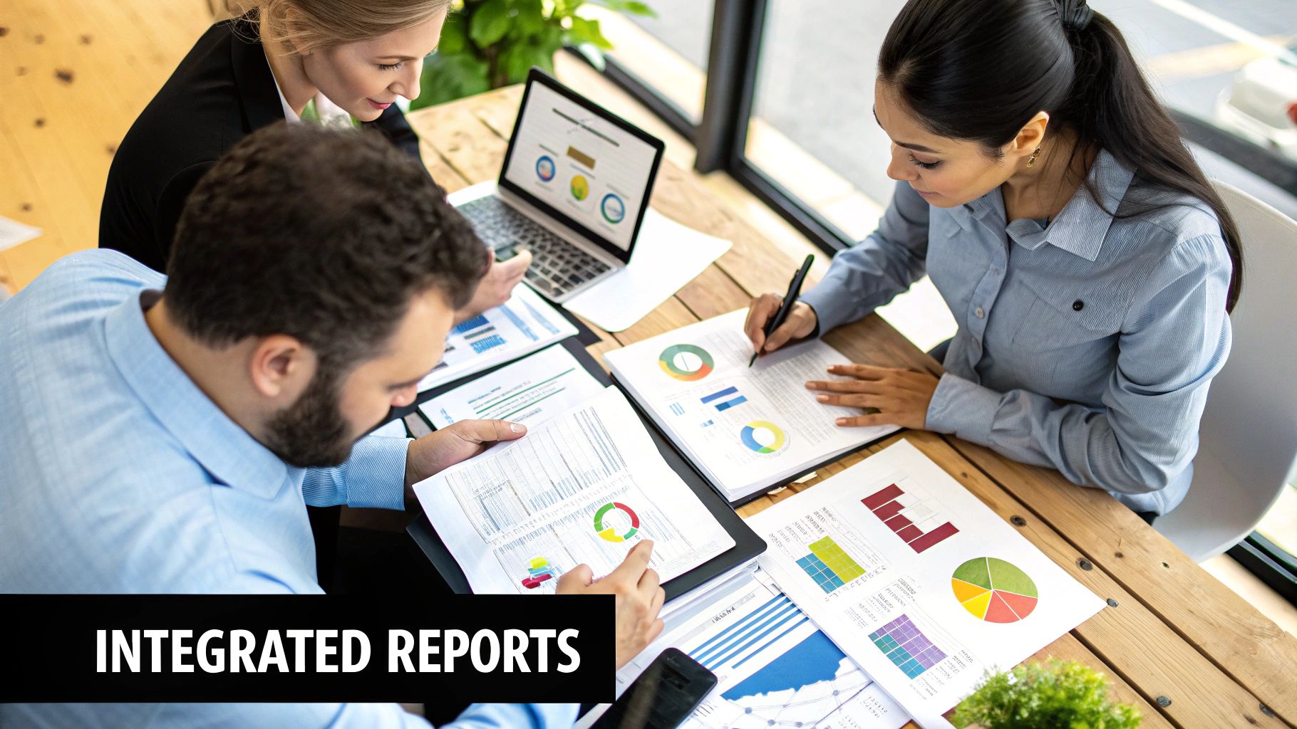 A dashboard view inside the SEMrush SEO reporting software platform