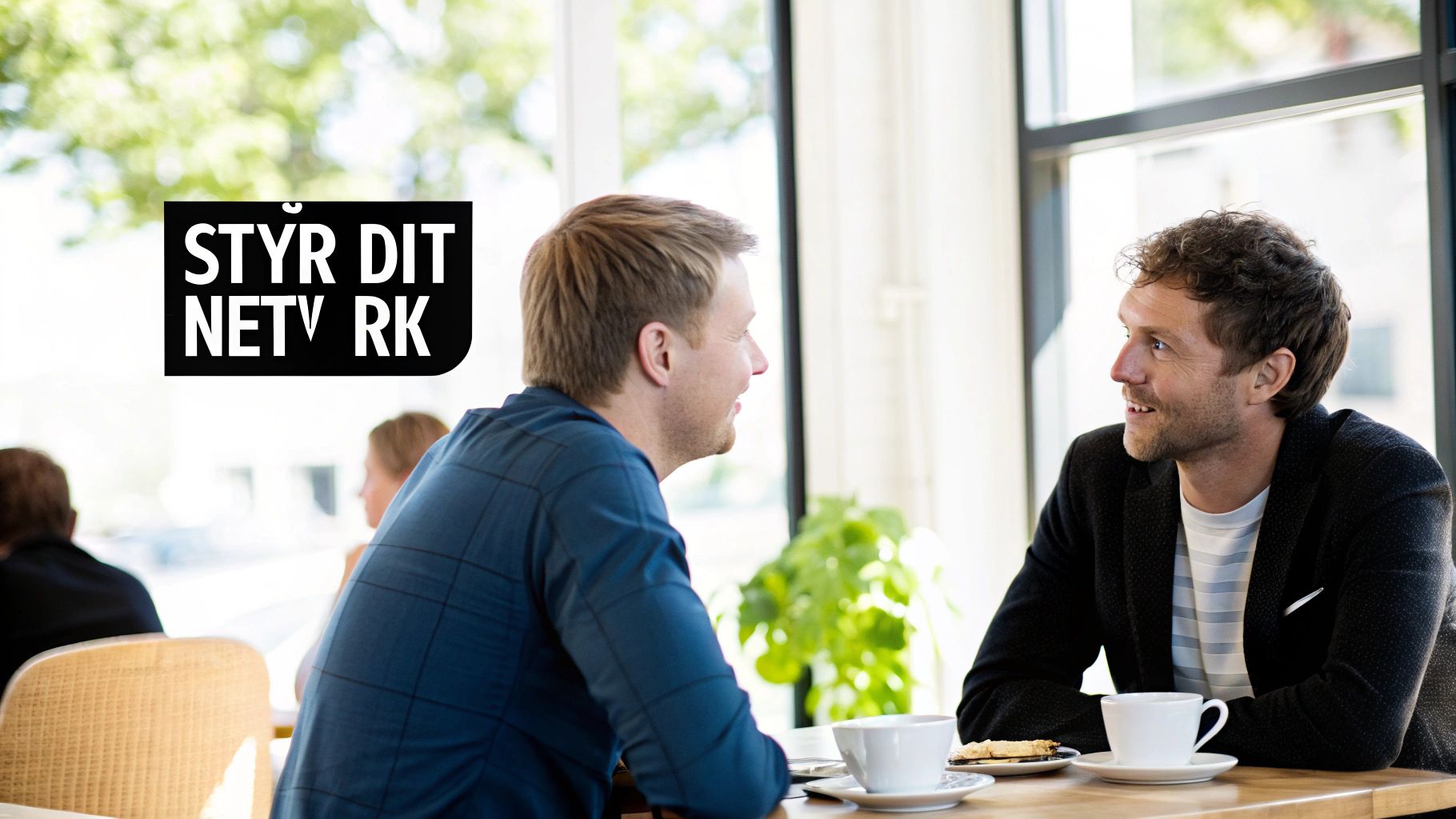 Netværk