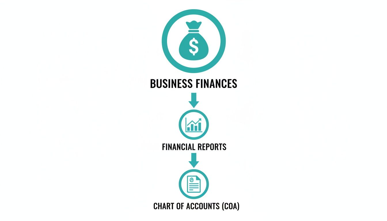 A flowchart illustrating the flow from business finances to financial reports and then to a chart of accounts.