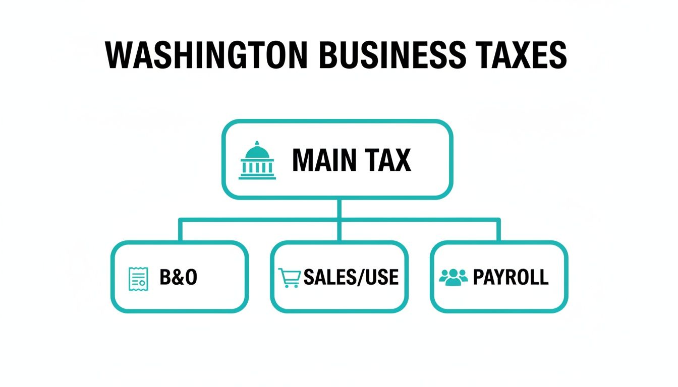Flowchart illustrating Washington Business Taxes, outlining main tax categories: B&O, Sales/Use, and Payroll.