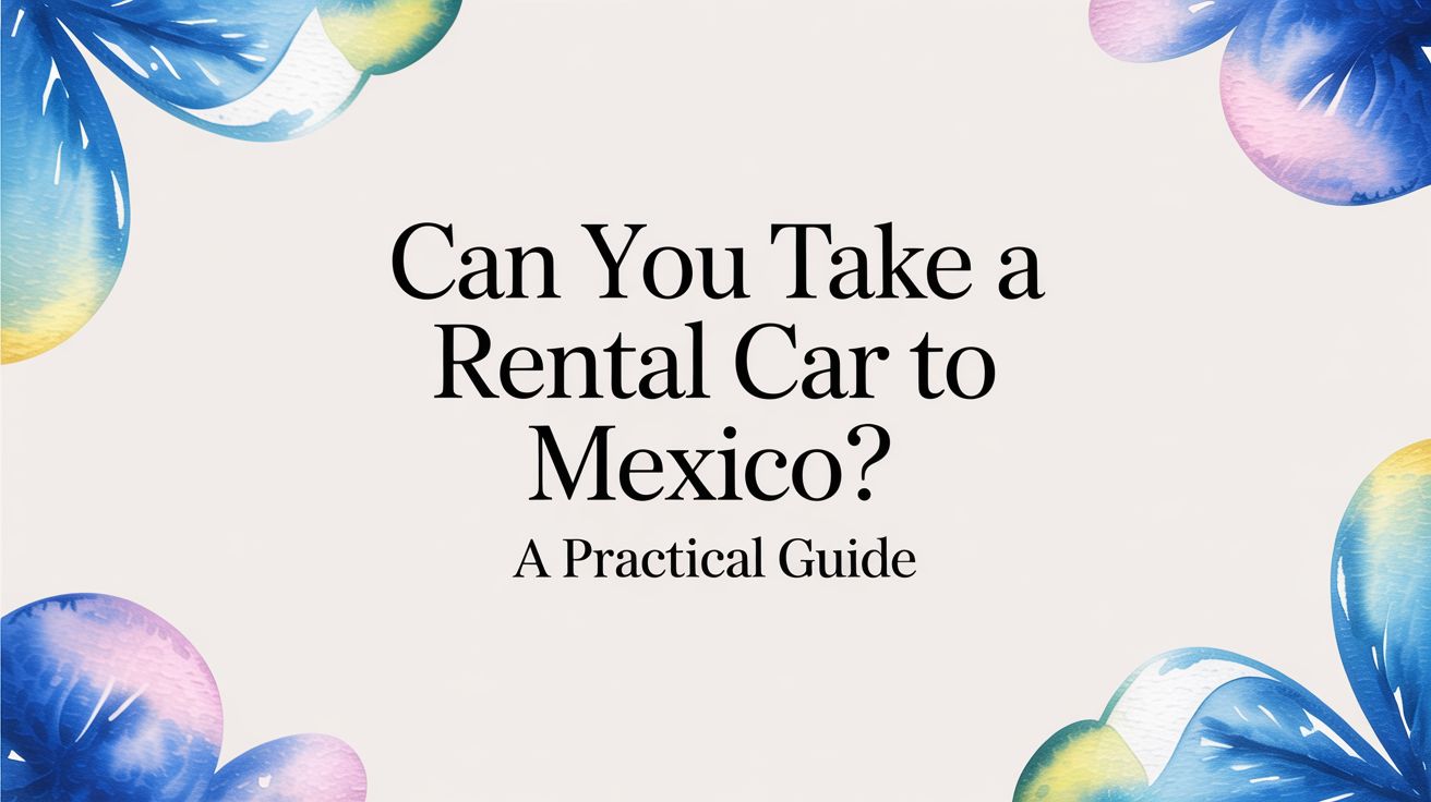 Can You Take a Rental Car to Mexico? A Practical Guide