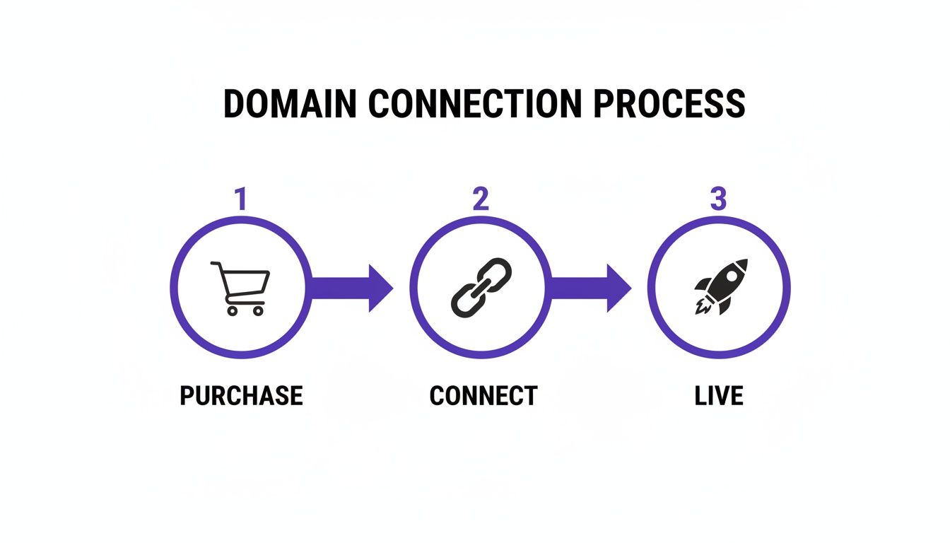 Infographic illustrating the domain connection process, including purchase, connect, and live stages with icons.