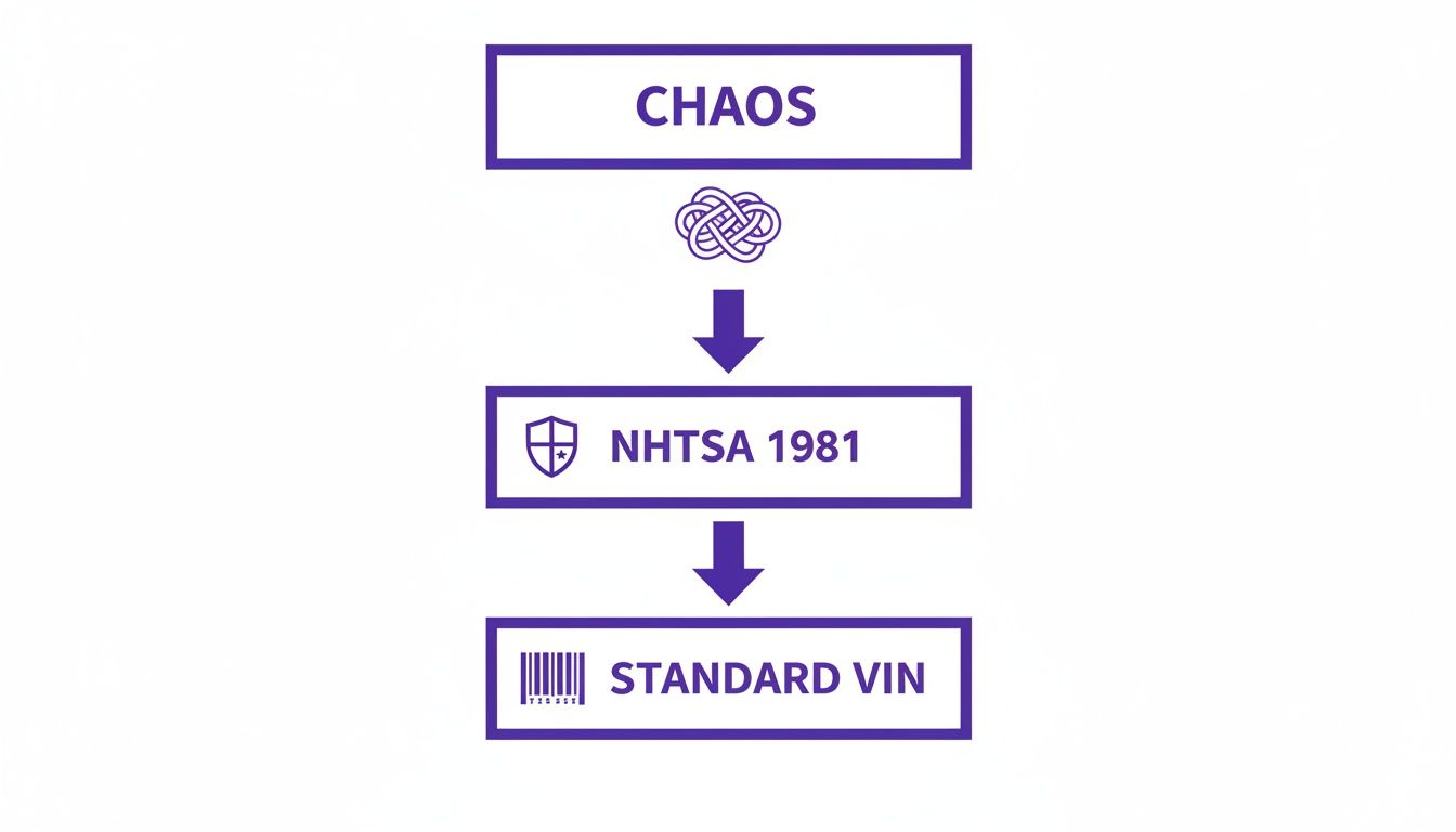 Flowchart illustrating the evolution from chaotic vehicle identification to standardized VINs through NHTSA 1981 regulations.
