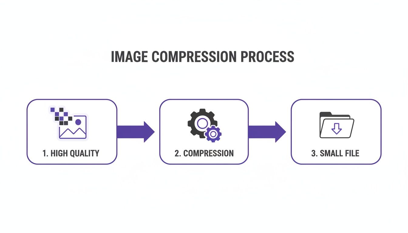 A visual diagram illustrating the image compression process from a high-quality image to a small file.