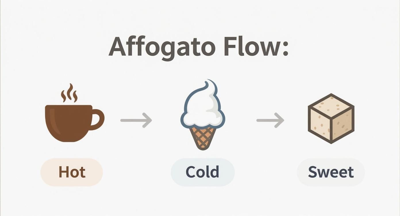 Infographic about how to make affogato