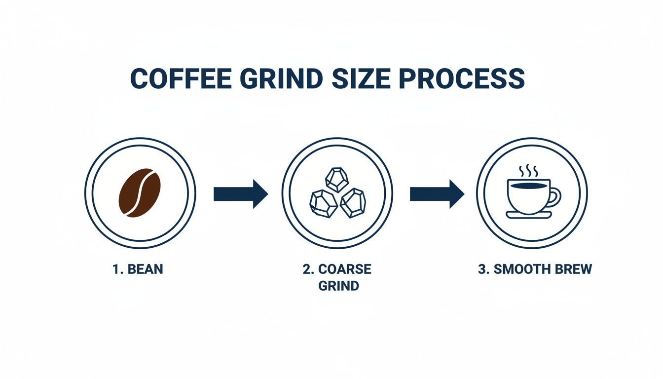 Infographic showing the coffee grind size process from whole beans to coarse grind and a smooth brew.