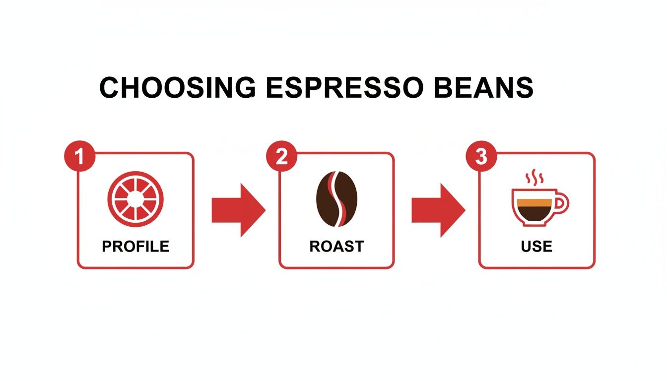 A three-step guide for choosing espresso beans, illustrating considerations for profile, roast, and use.