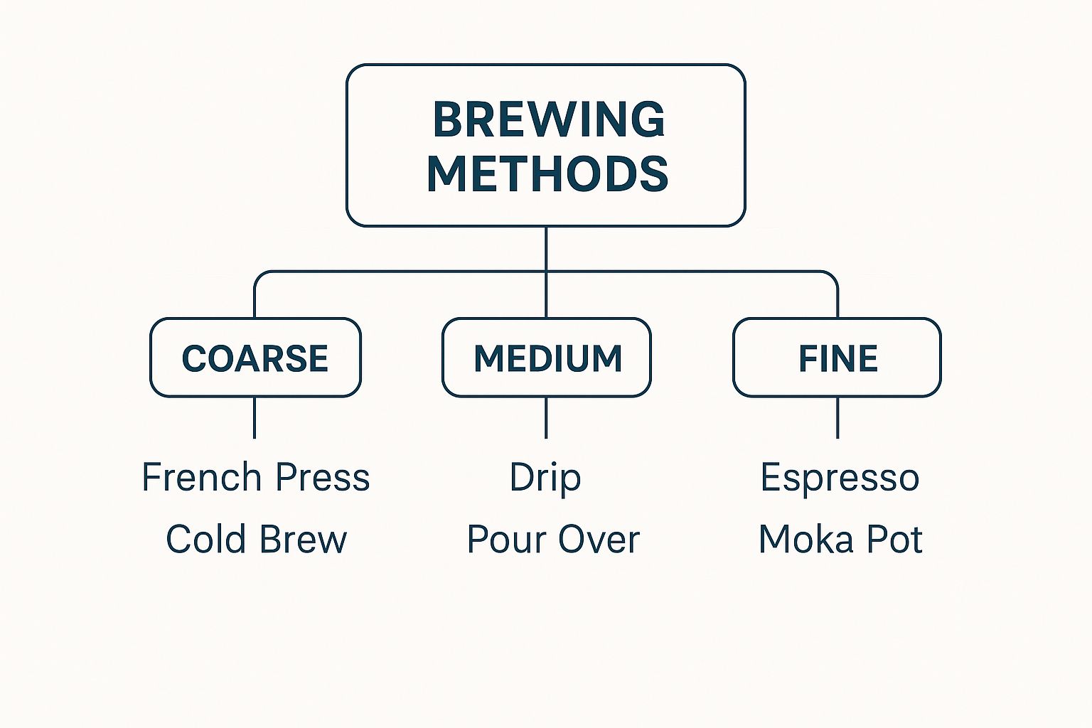 Infographic about coffee grind size guide