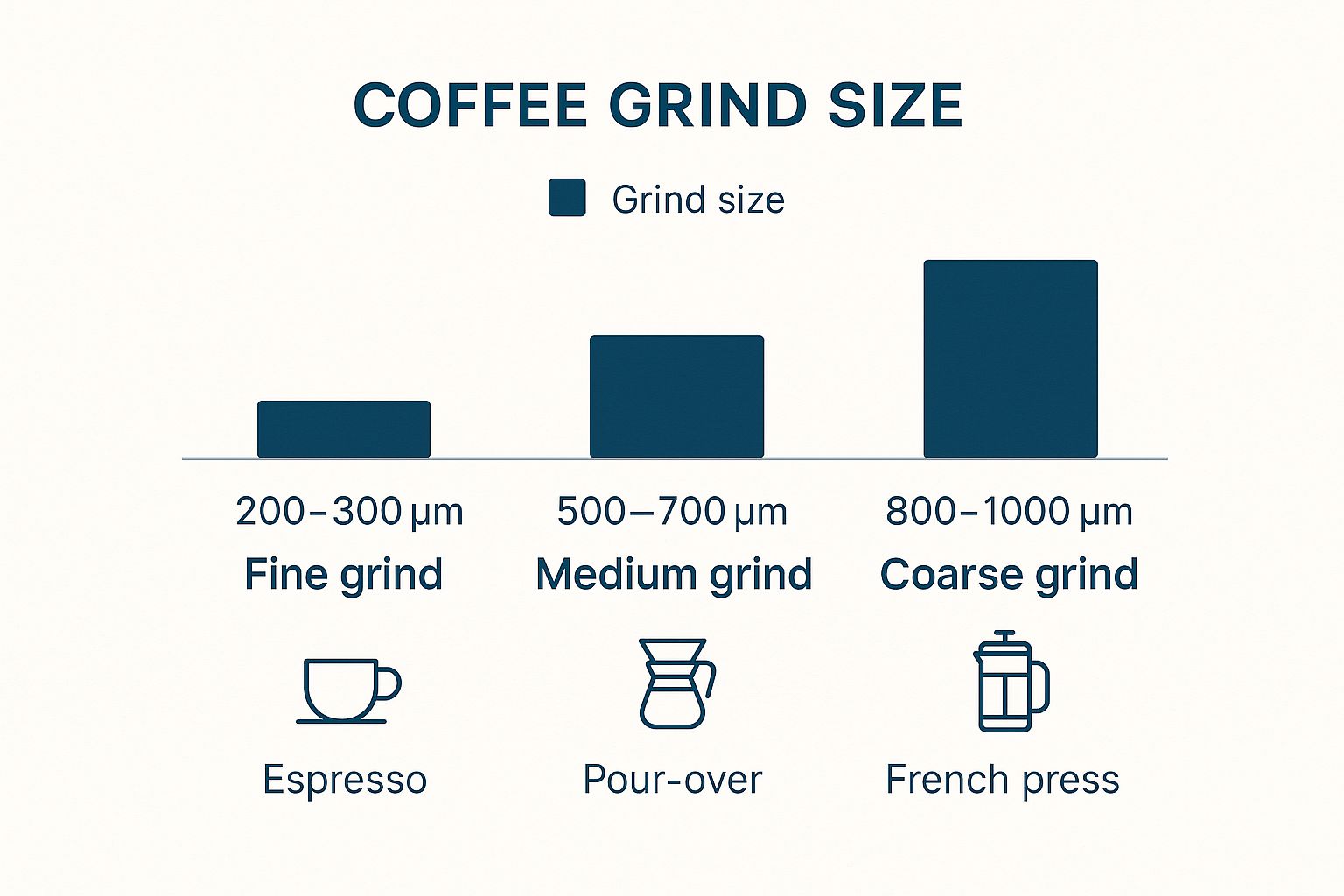 Infographic about best coffee beans for espresso
