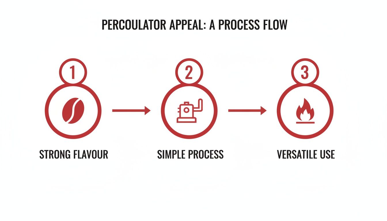 Process flow illustrating three key benefits of percolator coffee: strong flavor, simple process, and versatile use.