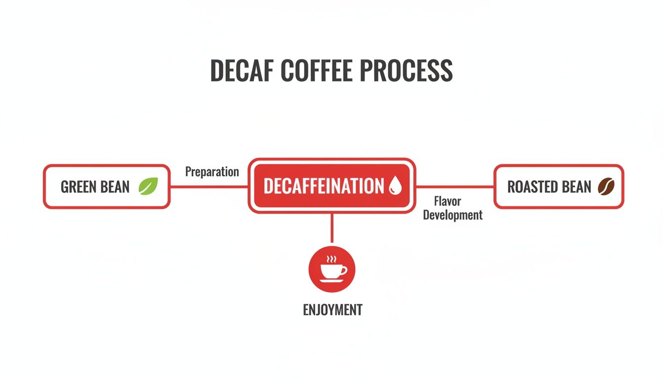 A flowchart illustrating the decaf coffee process from green beans to roasted beans and final enjoyment.