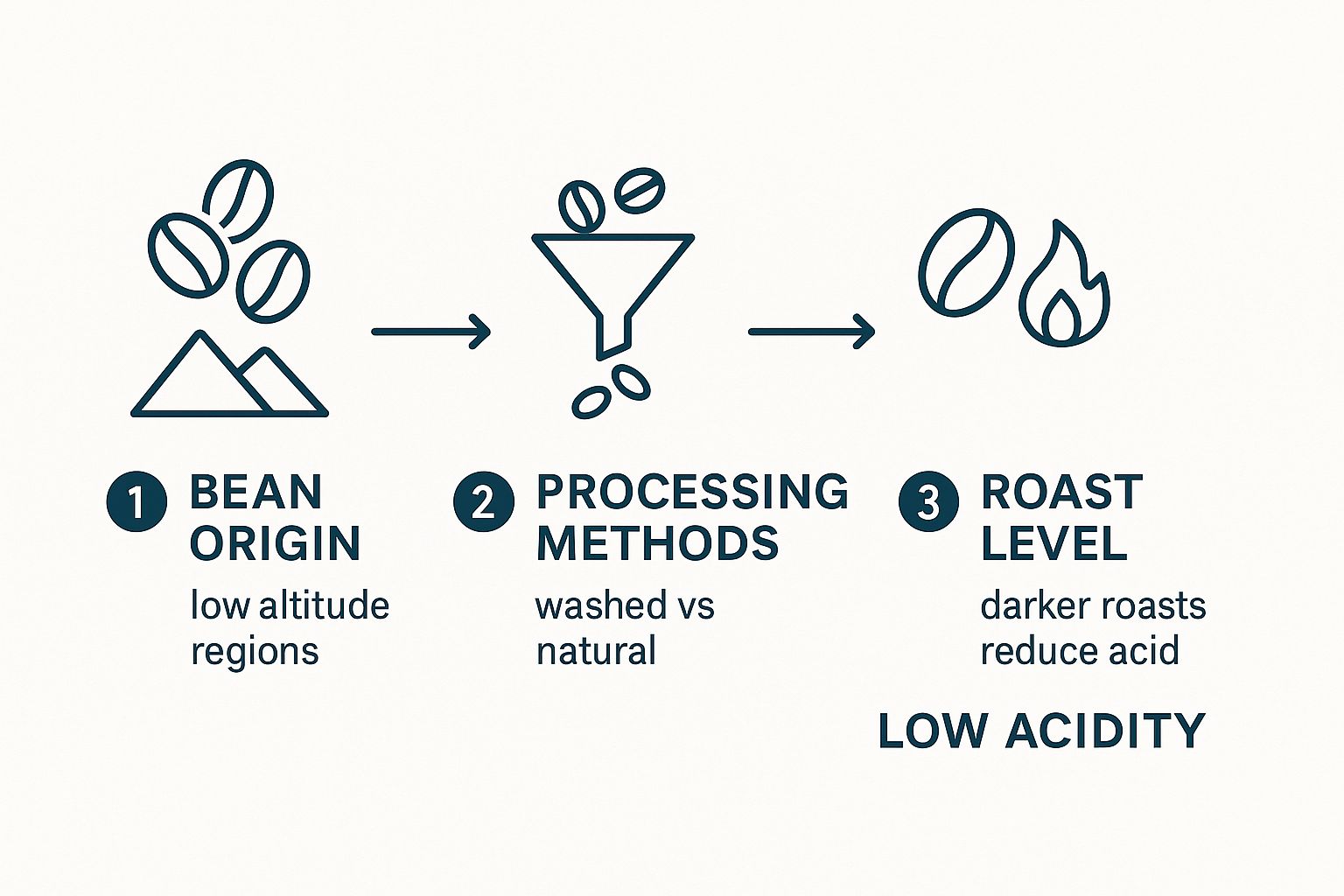 Infographic about low acid coffee brands