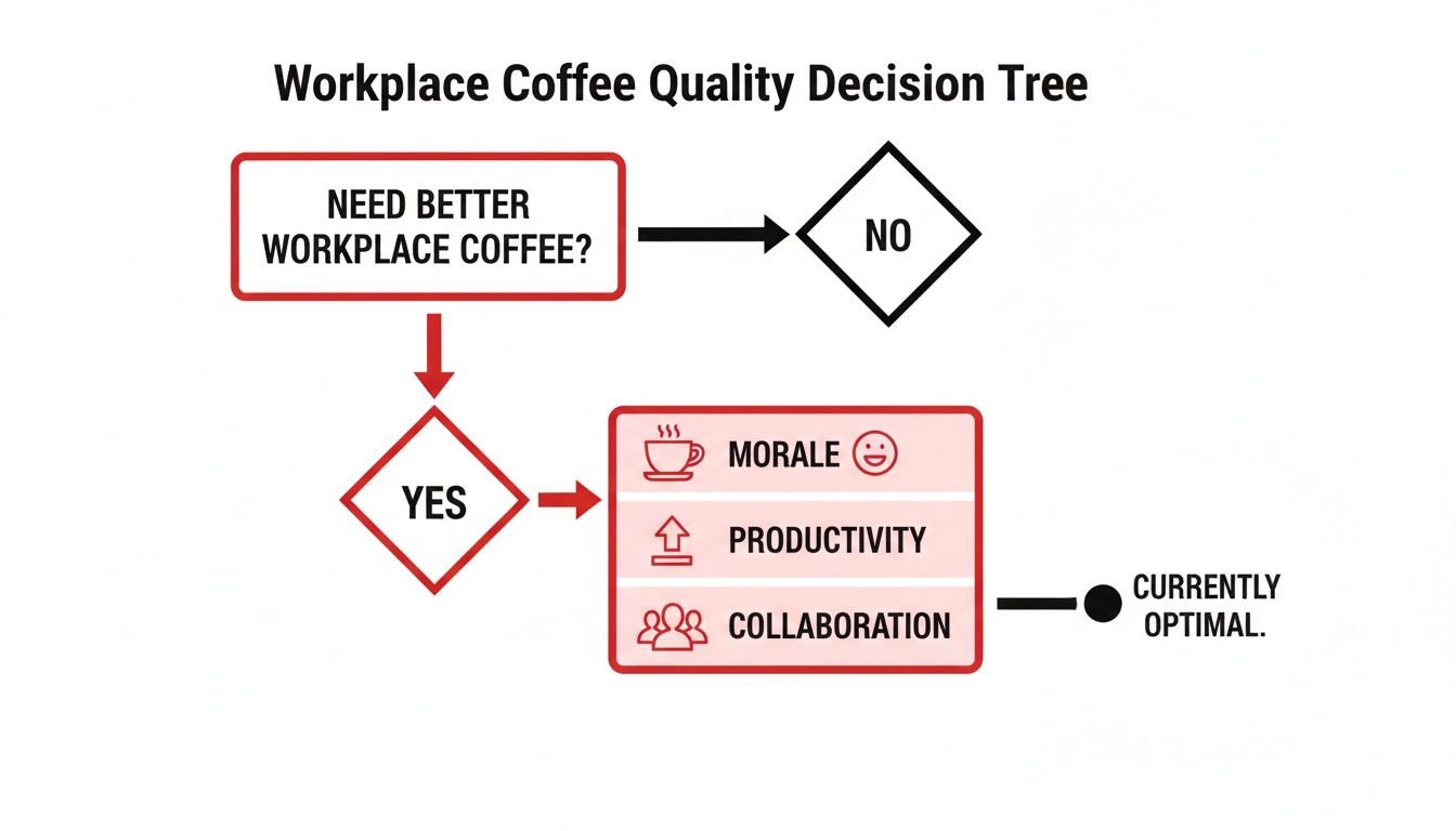 A decision tree flowchart explaining if better workplace coffee improves morale, productivity, and collaboration.