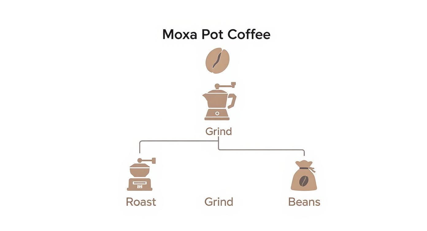 Infographic about best coffee for moka pot