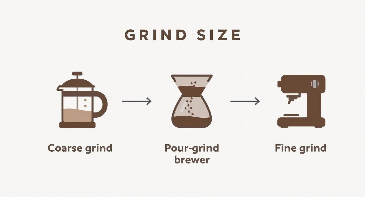 Infographic about how to make coffee with beans