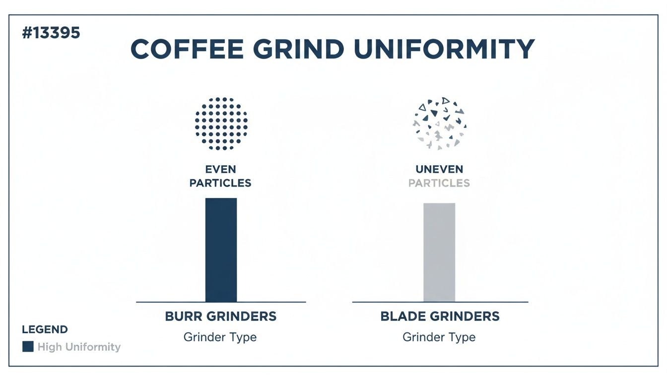 A chart comparing coffee grind uniformity: burr grinders produce even particles and high uniformity, while blade grinders produce uneven particles.