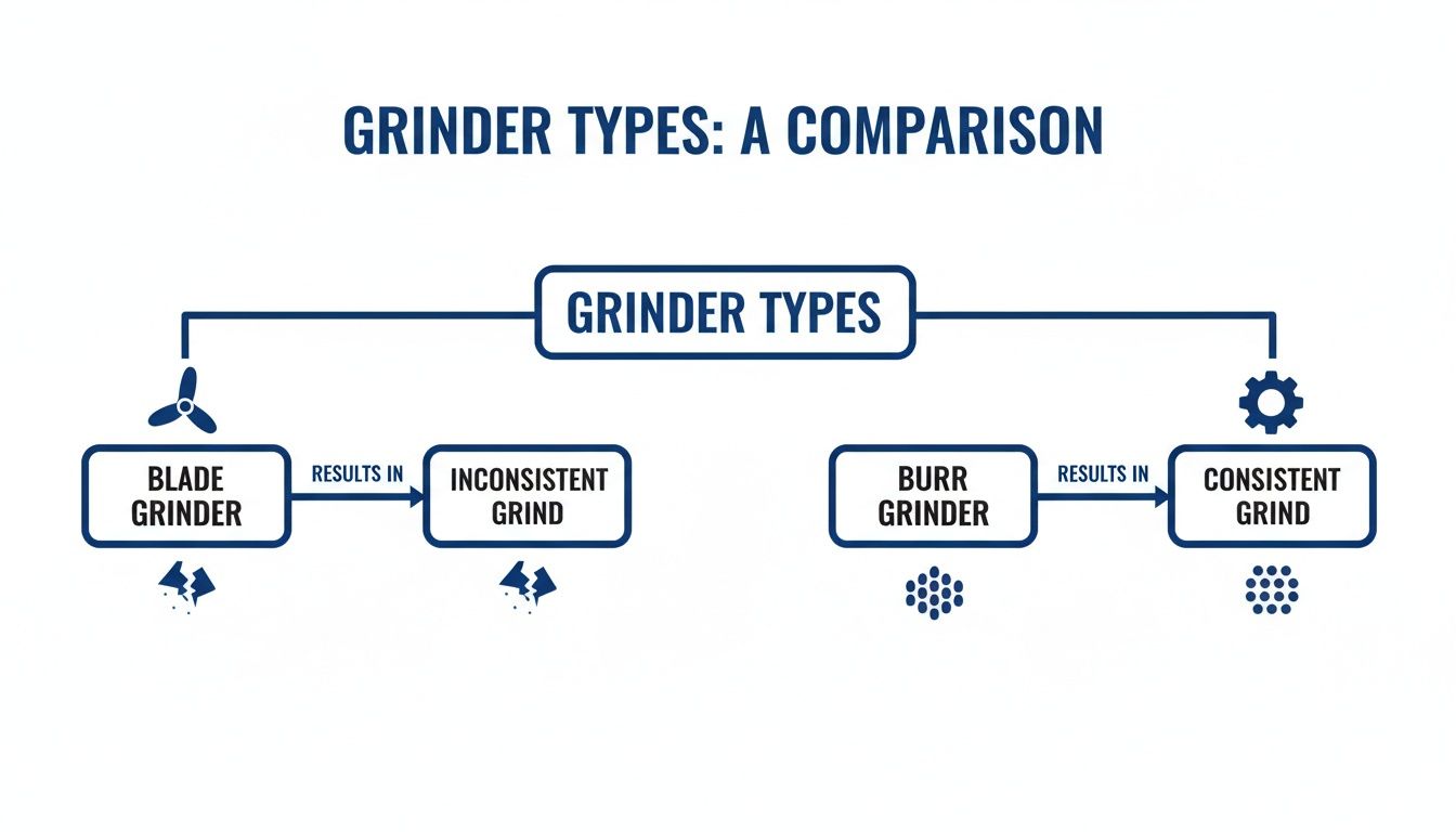 A flowchart comparing blade and burr coffee grinders, highlighting inconsistent versus consistent grind results.