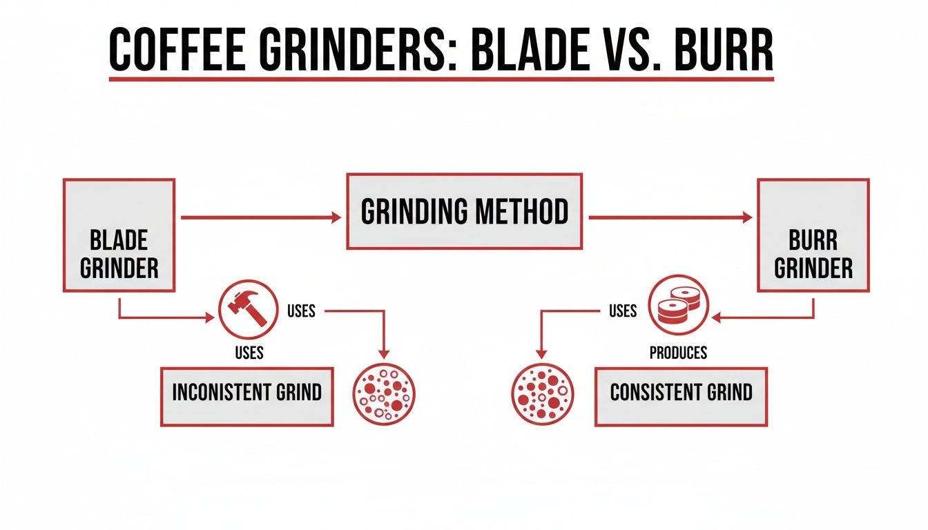 Diagram comparing coffee blade grinders, which create inconsistent grinds, and burr grinders, producing consistent grinds.