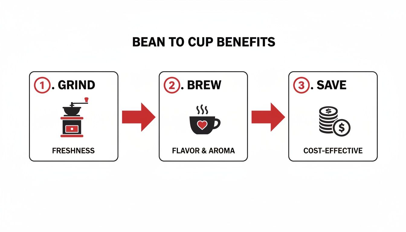 Infographic about bean to cup coffee machine commercial
