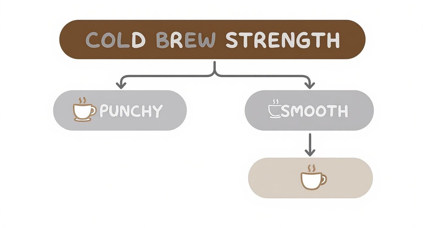 A diagram showing cold brew coffee strength options: punchy (strong) or smooth, with icons.