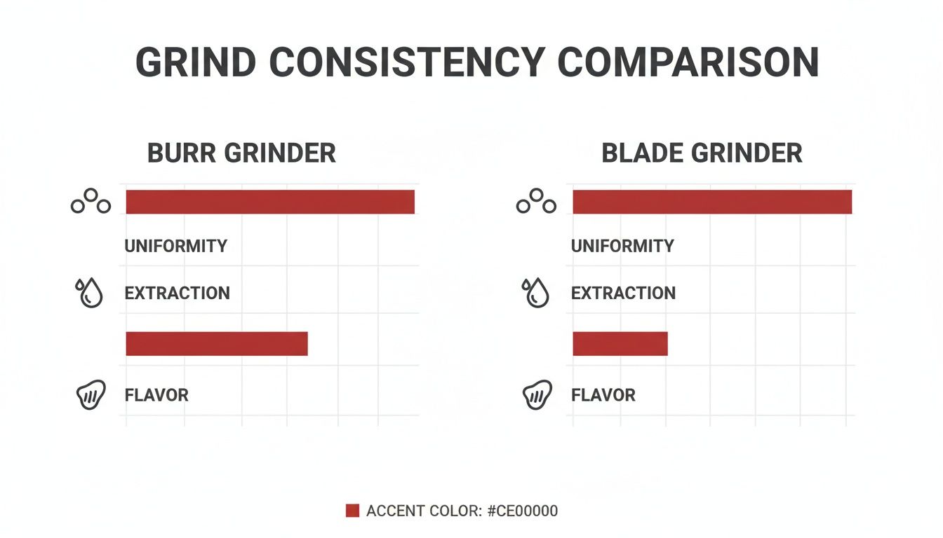 Bar chart comparing burr and blade coffee grinders on uniformity, extraction, and flavor, showing burr grinders superior.