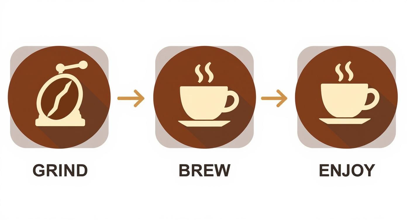 Three-step coffee process illustration showing grind brew and enjoy stages with icons