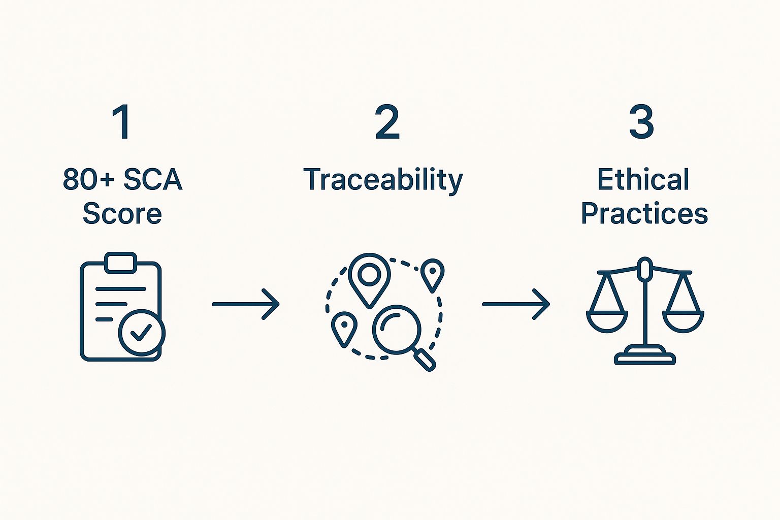 Infographic about what is specialty coffee