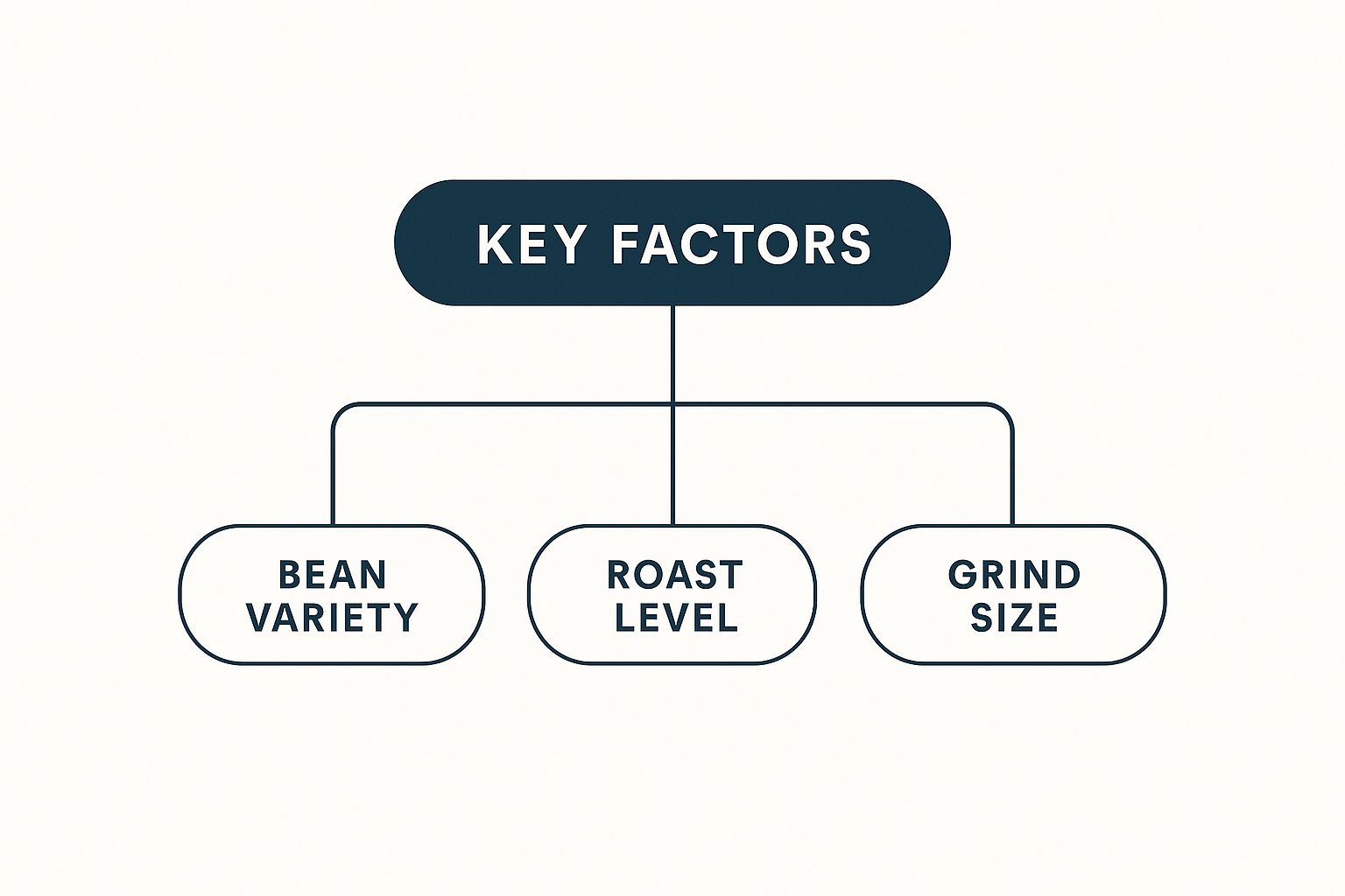 Infographic about best coffee for french press