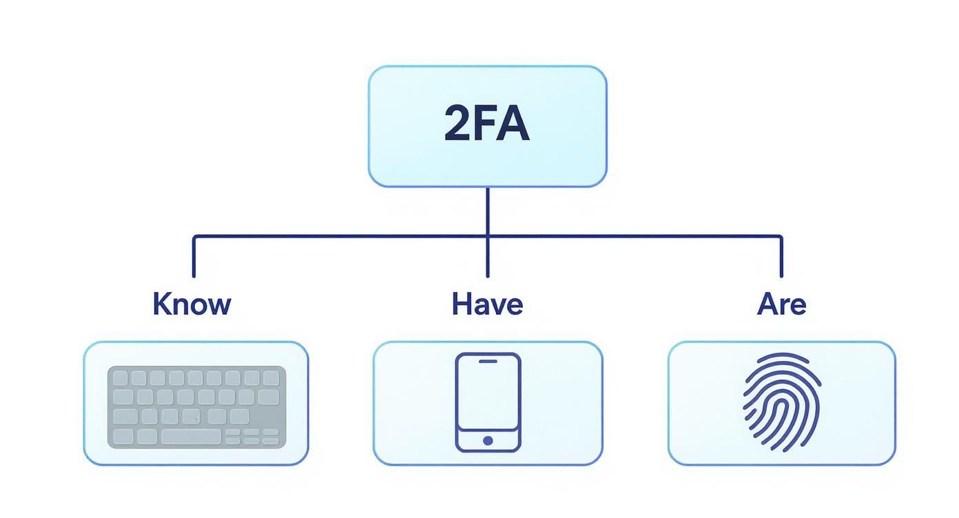Two factor authentication diagram showing three elements: password knowledge, device possession, and biometric identity verification