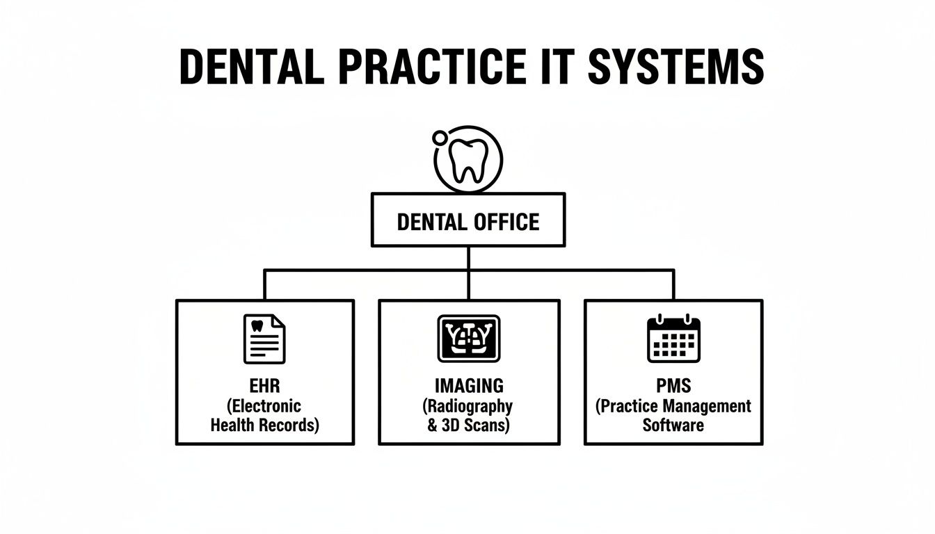 Diagram showing IT systems for a dental office, including EHR, Imaging (Radiography & 3D Scans), and PMS.
