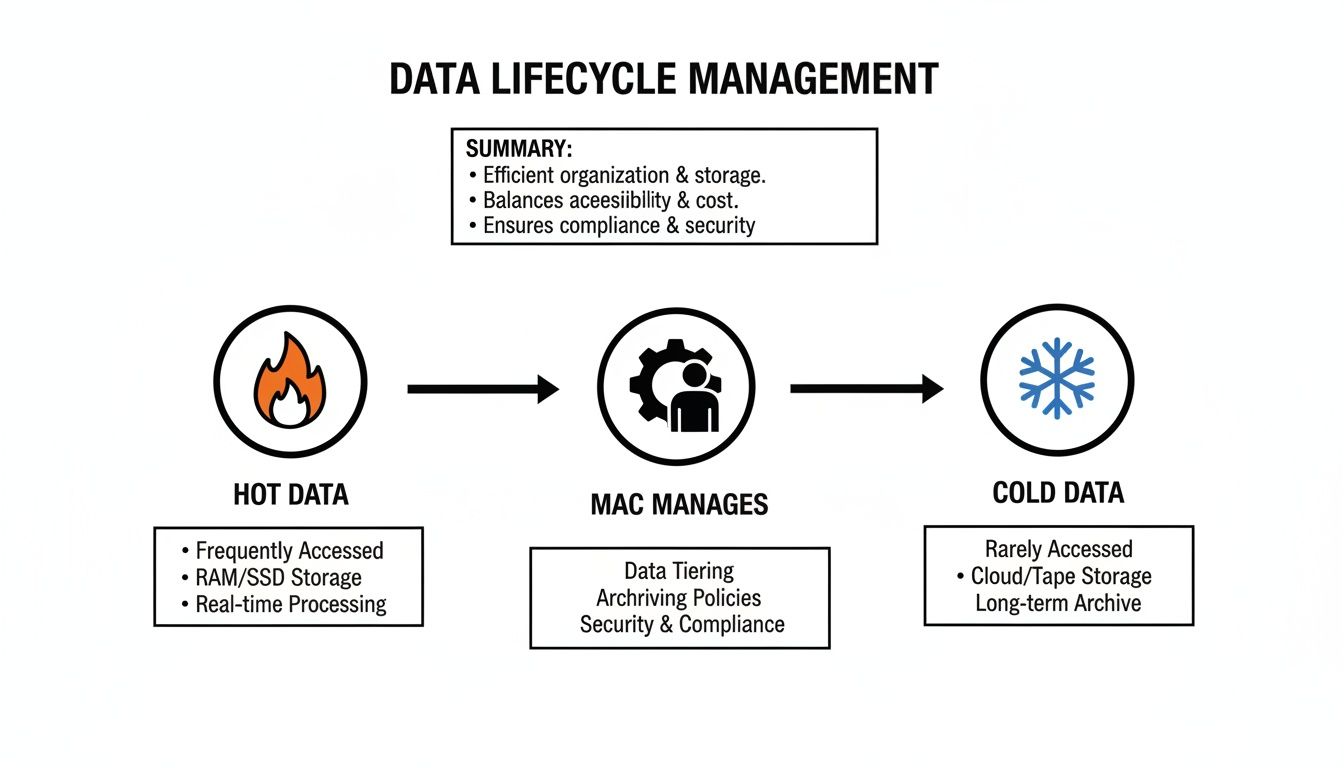 Diagram illustrating Data Lifecycle Management, showing hot data becoming cold data managed through policies.