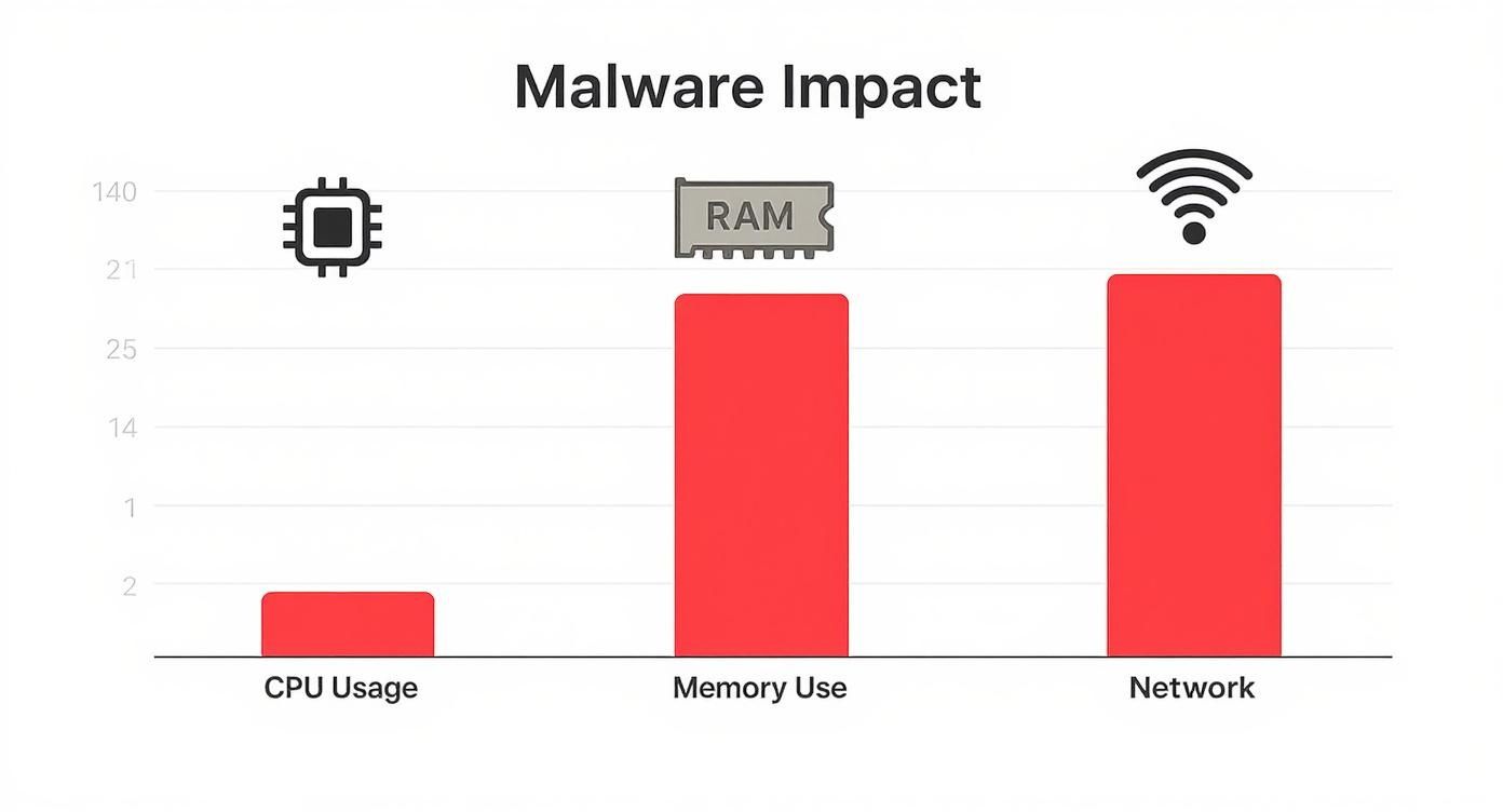 Bar chart showing malware impact on CPU usage, memory use, and network performance metrics
