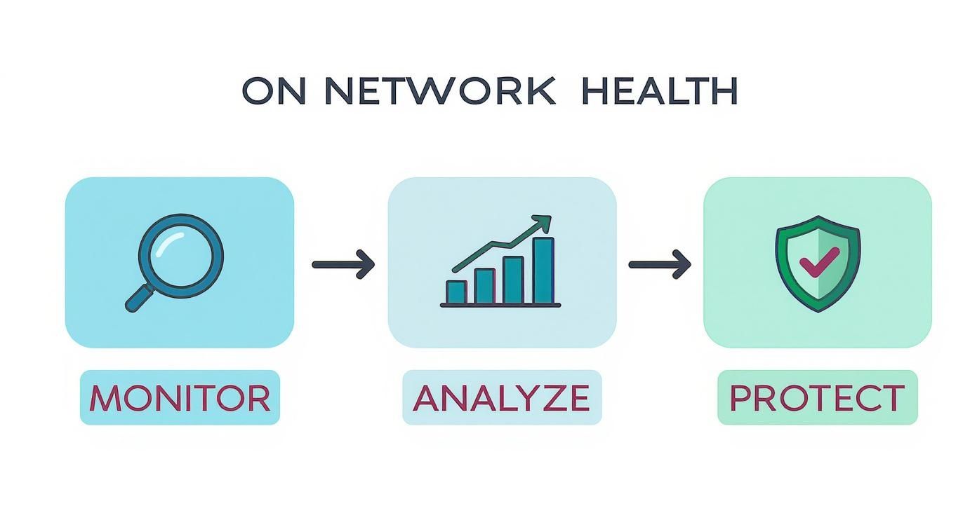 Infographic about what is network monitoring
