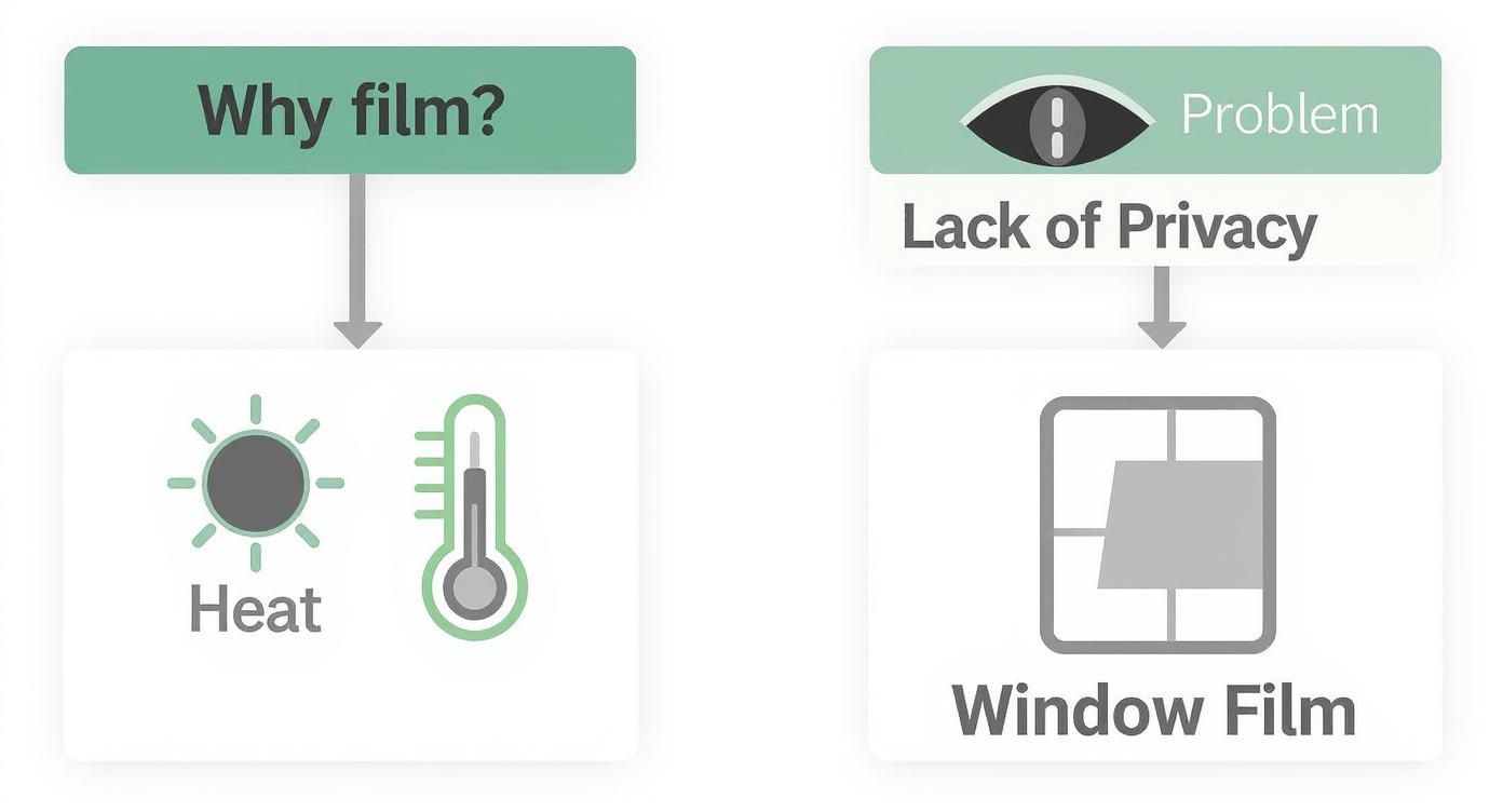 Infographic about folie na okna