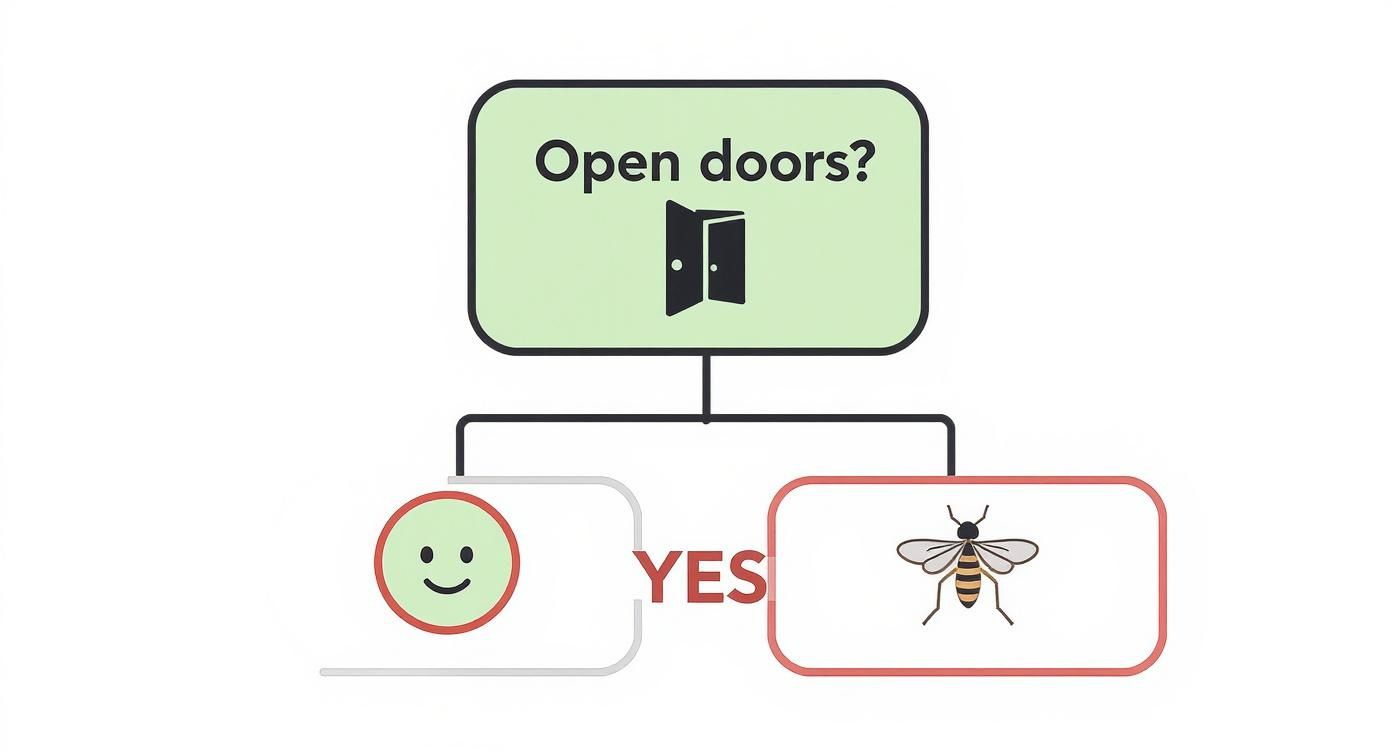 Infographic about sieťka proti hmyzu na dvere