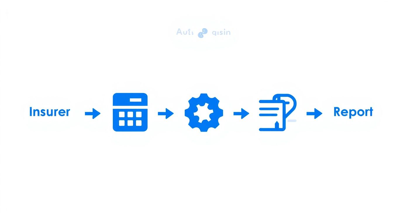 Infographic about auto insurance appraisals