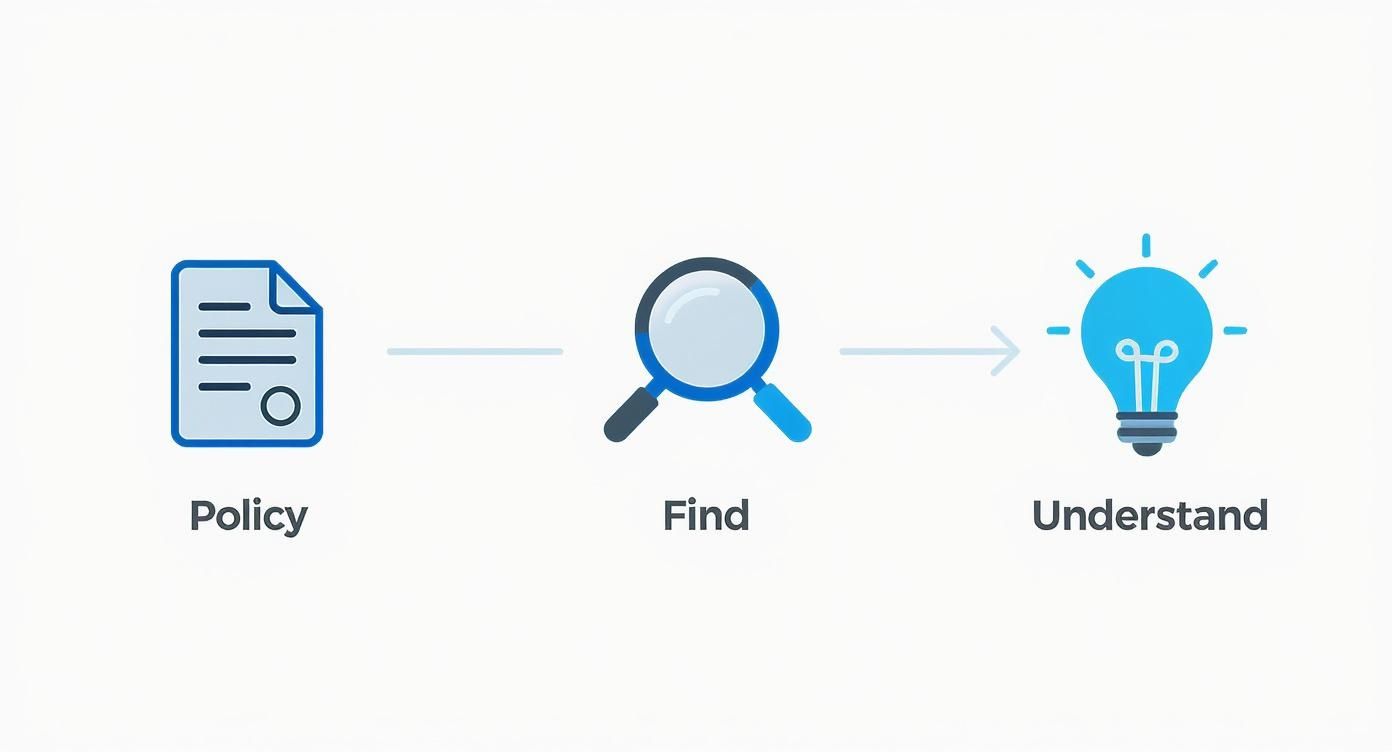 Three-step process diagram showing policy document, magnifying glass for finding information, and lightbulb representing understanding