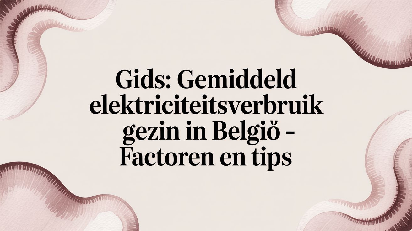 Gids: gemiddeld elektriciteitsverbruik gezin in België – factoren en tips