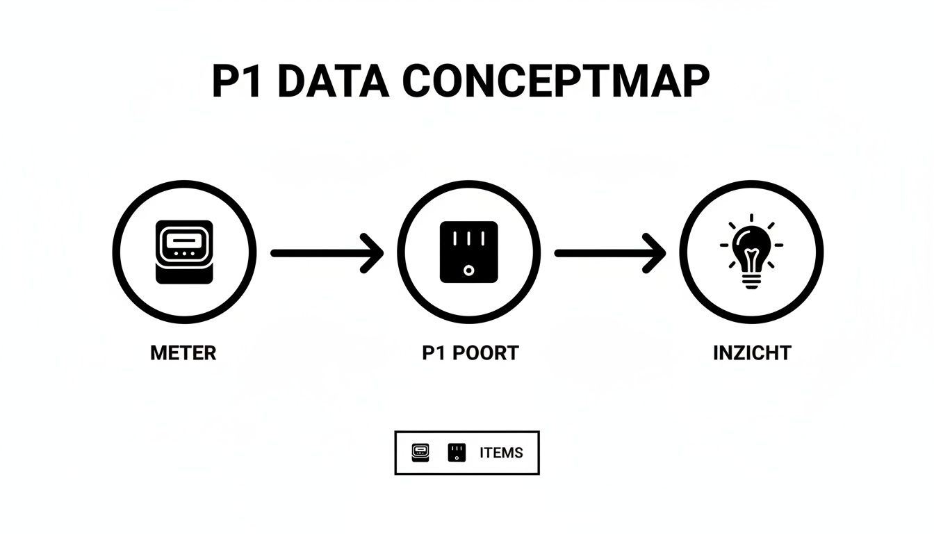 Conceptkaart van P1-dataflow: van meter via P1-poort naar inzicht in energieverbruik.