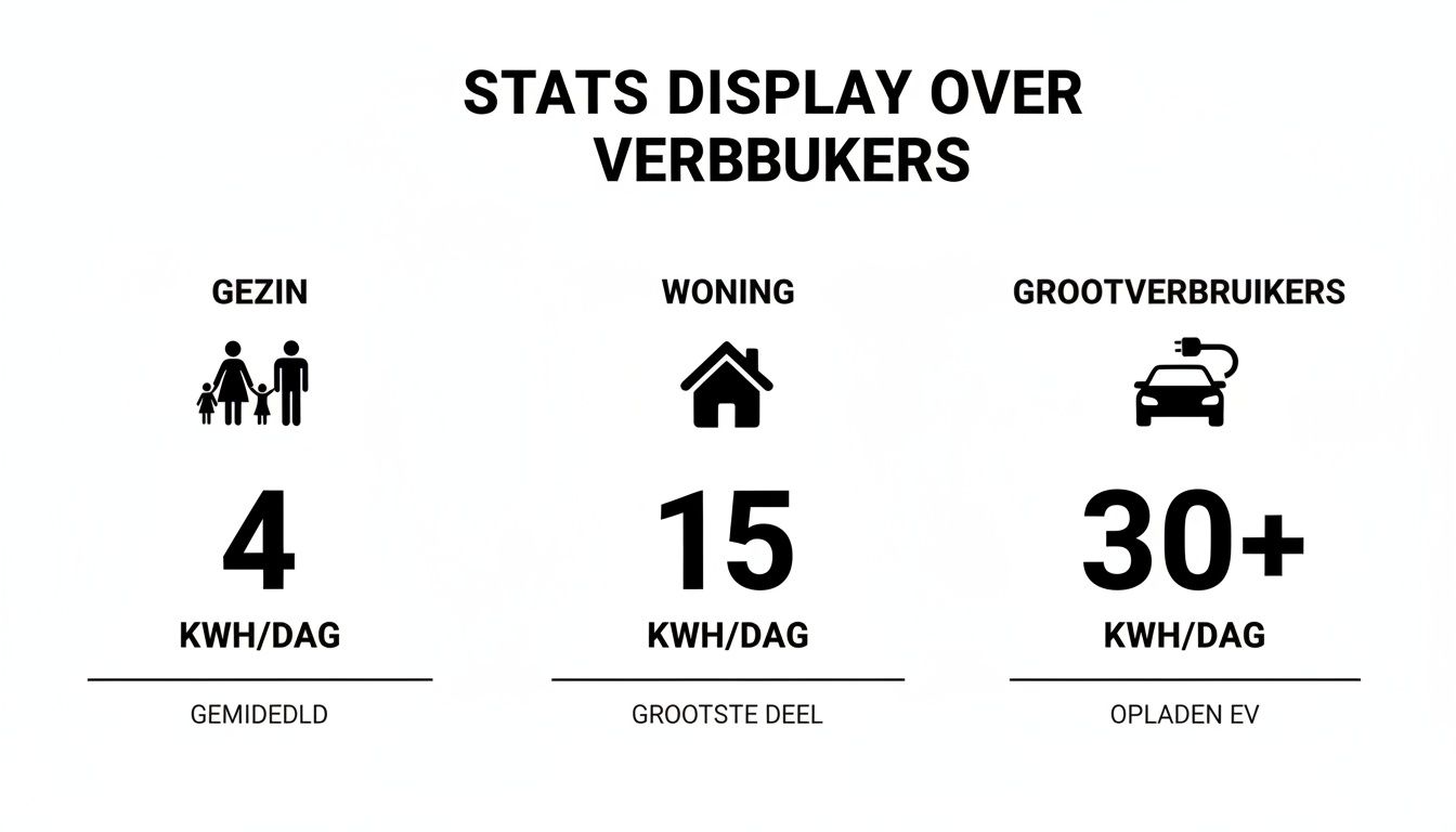 Overzicht van gemiddeld elektriciteitsverbruik voor een gezin, woning en grootverbruikers, inclusief EV opladen.