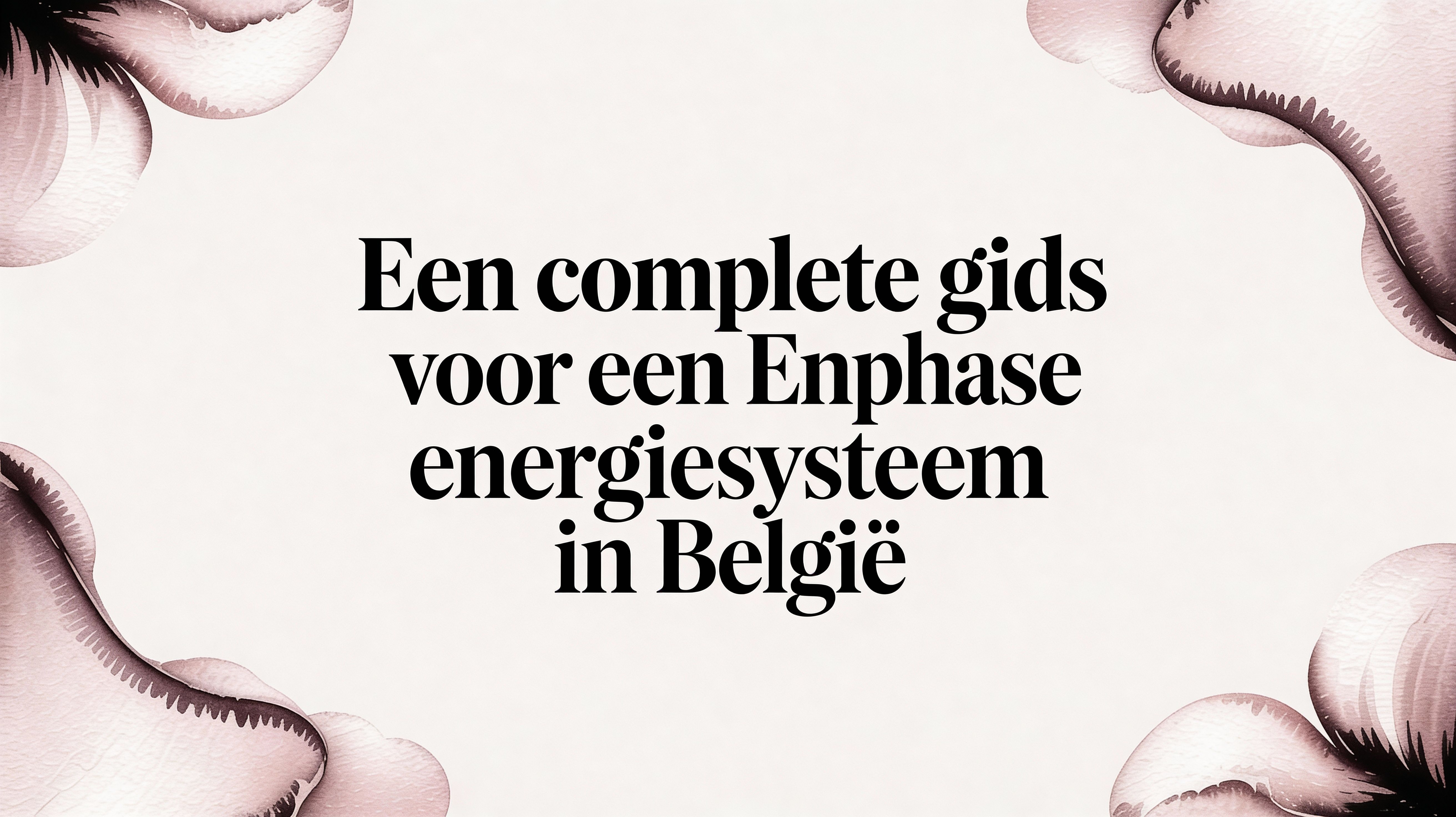 Een complete gids voor een Enphase energiesysteem in België
