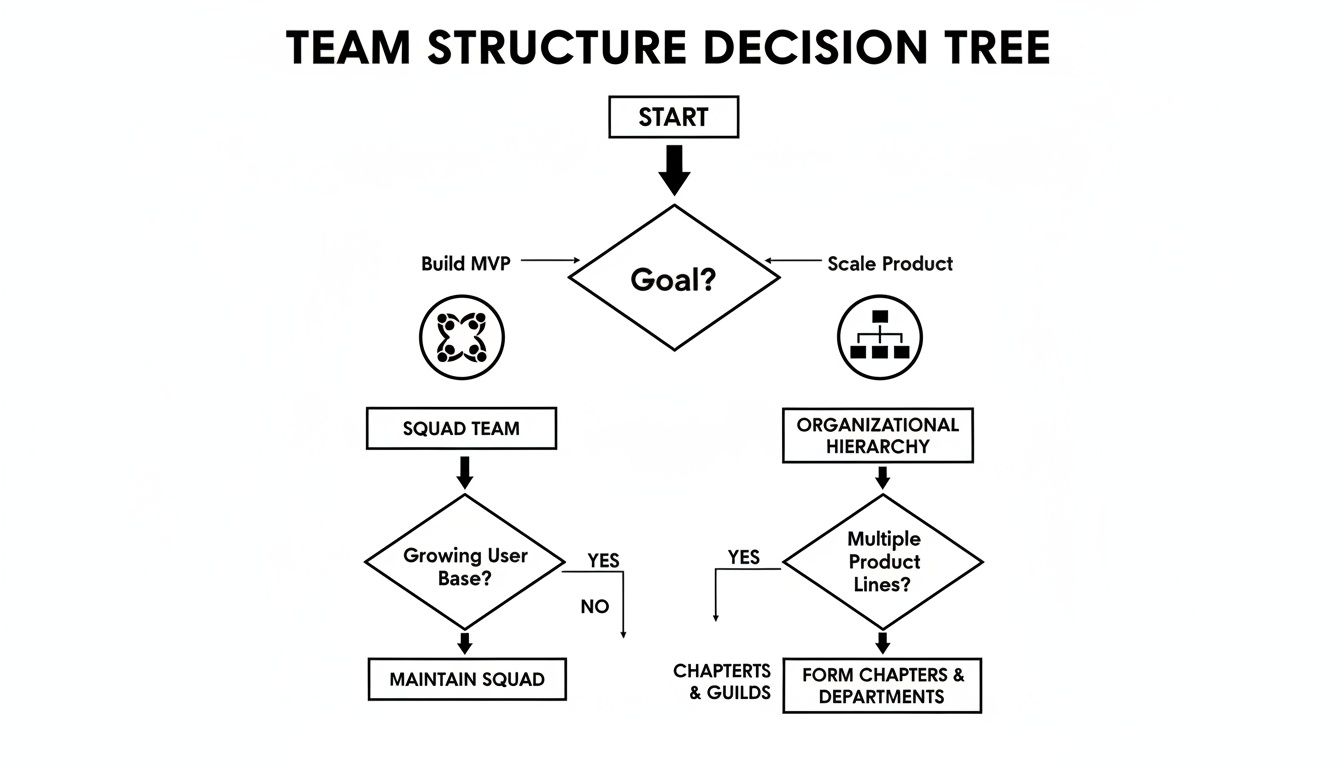 A flowchart decision tree illustrating team structure choices for software development based on project goals.