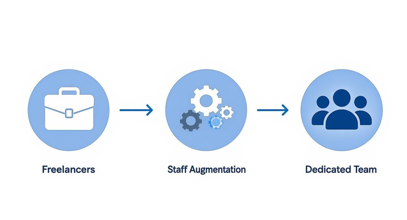 Infographic about hire dedicated python developers