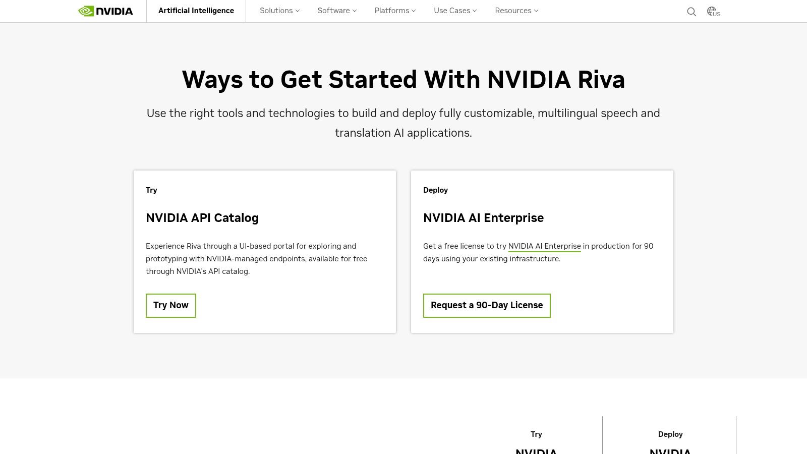 NVIDIA Riva