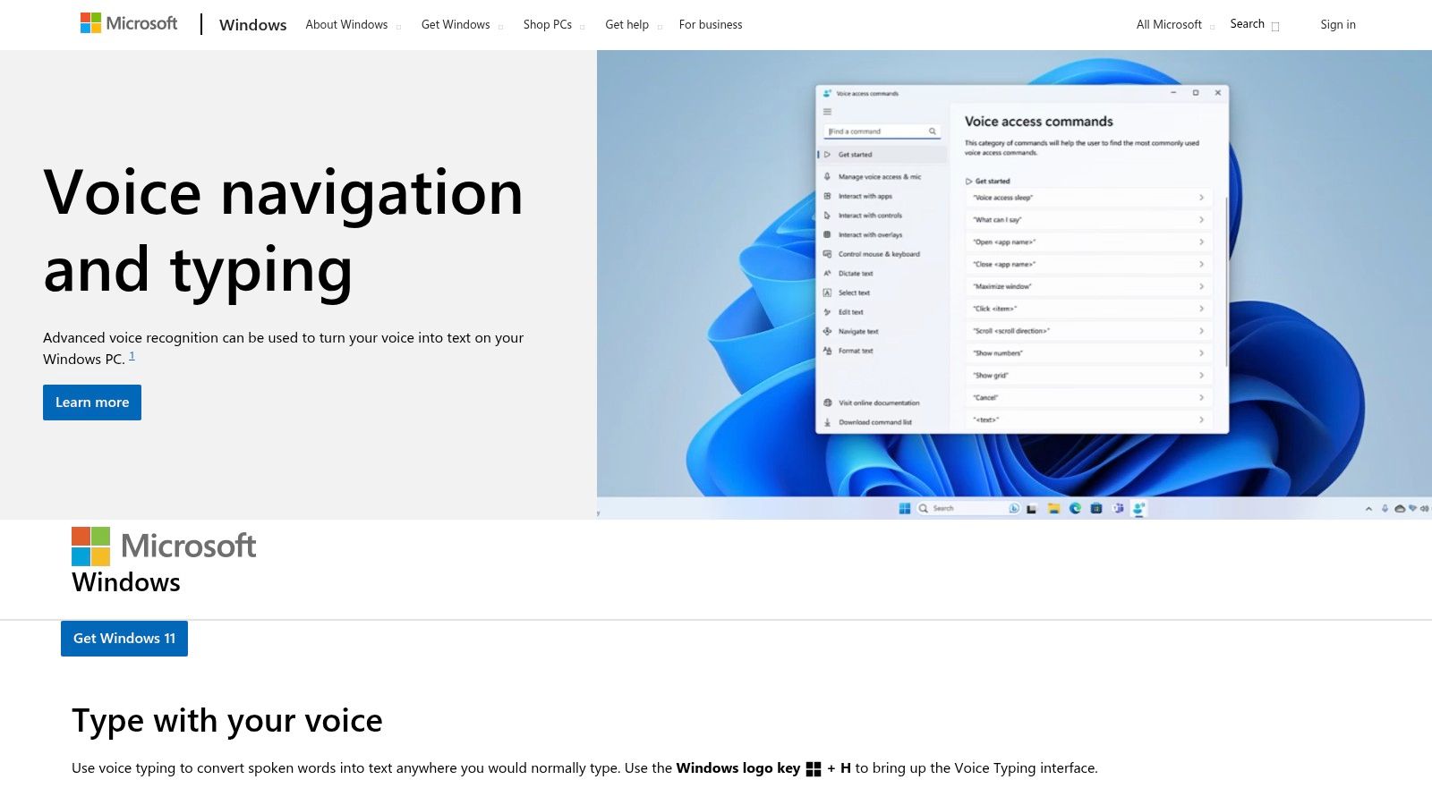 Windows 11 Voice Typing