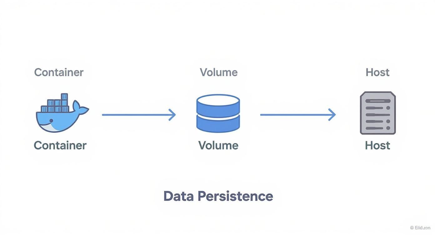 Diagram illustrating data persistence from a Docker container, through a volume, to a host machine.