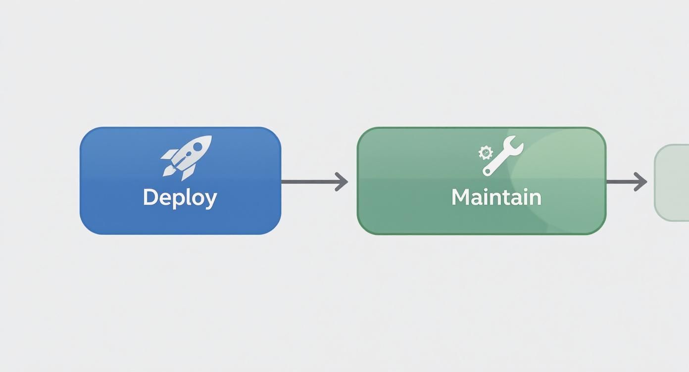 Infographic about software development cycle stages